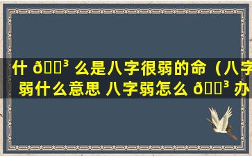 什 🌳 么是八字很弱的命（八字弱什么意思 八字弱怎么 🐳 办）